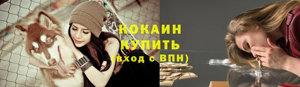 мдпв Мегион