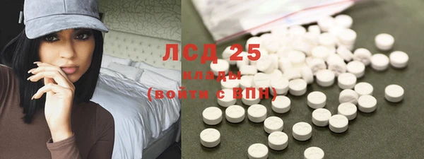 PSILOCYBIN Магас