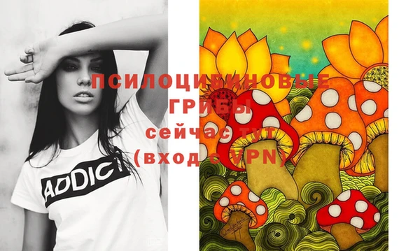 мдпв Мегион