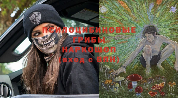 мдпв Мегион
