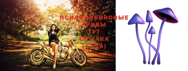 марки lsd Медногорск