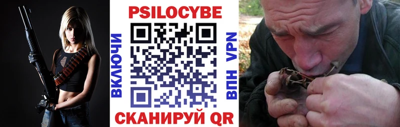 Псилоцибиновые грибы Cubensis  Ржев 