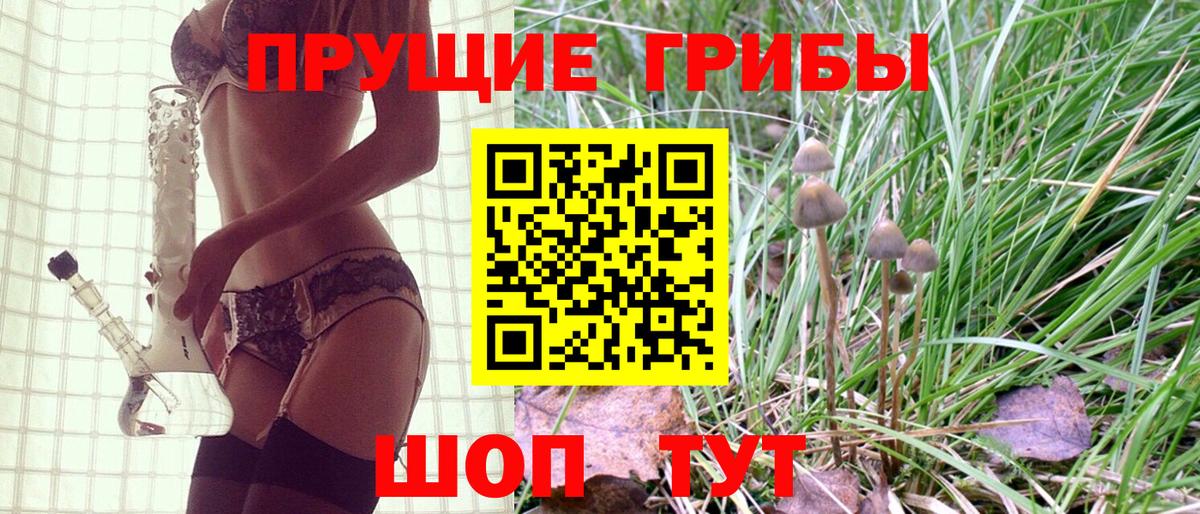 Псилоцибиновые грибы Psilocybine cubensis  хочу   Вход с VPN  Ржев  Галлюциногенные грибы Psilocybine cubensis 