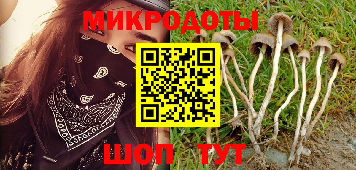 Галлюциногенные грибы мицелий Ржев